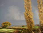 Rainbow, by John Prentice