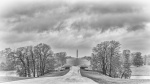 Blenheim, by John Cavana