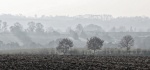 Misty Morning, by Maureen Tyrrell
