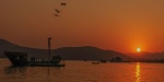 India Sunset