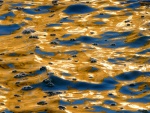Blenheim Fountain Patterns, by Miggy Wild