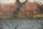 Breaking Glass, by Anne Hunsley