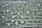 Icy Fence, by Maureen Tyrrell
