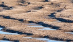 Patterns in the sand, by Lindsey Smith