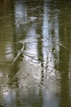 Icy Lake, by Maureen Tyrrell