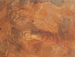 Patterns-3, by John Powell