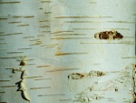 Patterns-2, by John Powell