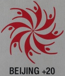 UN Beijing+20, by Khatija Barday-Wood
