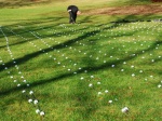 light show pattern, by Paul Brewerton