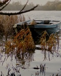 Blenheim boat, by Miggy Wild