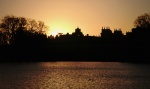 Blenheim, by Maureen Tyrrell