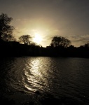 Blenheim, by Maureen Tyrrell