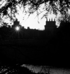 Blenheim, by Maureen Tyrrell