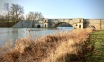 Blenheim, by Maureen Tyrrell