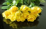 ROSES for Joy & Delight, by Khatija Barday-Wood