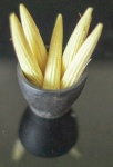 Crunch Crunch Babycorns, by Khatija Barday-Wood