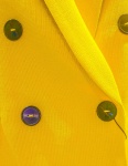 Yellow Jacket, by Martyn Pearse