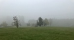 Misty Morning, by Neil Grantham