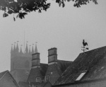 Weather vanes in fog, by Nick Harding