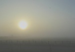 Misty morning, by Miggy Wild