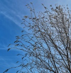 Weather 2, by Wendy Meagher