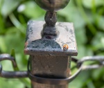 KBW Lady Burd at Wad Manor