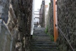 Cat on stairs, by Ann Moyce