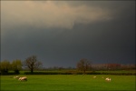 1 A STORMY SATURDAY.jpg