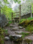 Steps 02, by Richard Broadbent