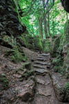 Puzzlewood 2 - is it, by Wendy Meagher