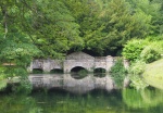 Beckie Lewis - Bridge under the trees