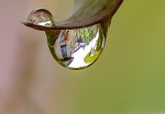 John Emmett - Water Drop