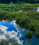 Wendy Meagher - Clifton fields in flood