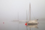 Diana Saville - Artic Dawn