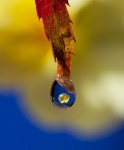 Jim Muller -Reflections-4