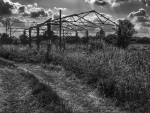 Neil Grantham - Abandoned Barn
