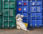Wendy Meagher - Beached Mermaid, Bristol
