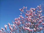 April 11 JohnP2
