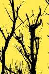 Feb 11 JohnP1