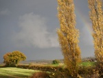 JGP2 Rainbow