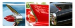 Martyn_Pearse_-_American_Fins.jpg