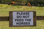 Richard Broadbent - Signs 1
