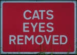 Wendy Meagher - 2-Cats Eyes Removed