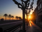 Beckie Lewis - Barcelona Boardwalk