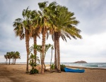 John Emmett - Palm Trees on the beach