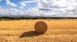 Khatija Barday-Wood - Bale in Solo Cotswold Summer