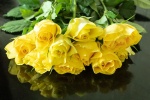 Khatija Barday-Wood - Roses for Joy