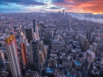 Miggy Wild - New York