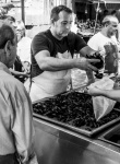 Paul Brewerton - Sicllian Fish Market