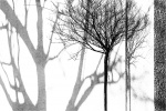 Andreas Klatt - Shadows 1
